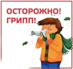 ПРОФИЛАКТИКА ГРИППА 